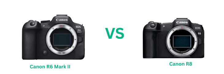 You are currently viewing Canon R6 Mark II vs R8 – Check Which One Is Best & Why?